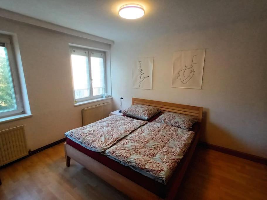 Modernes Apartment In Wien 외부 사진